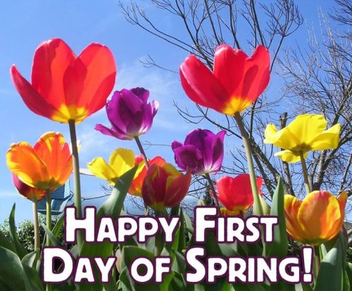 Image result for happy first day of spring images