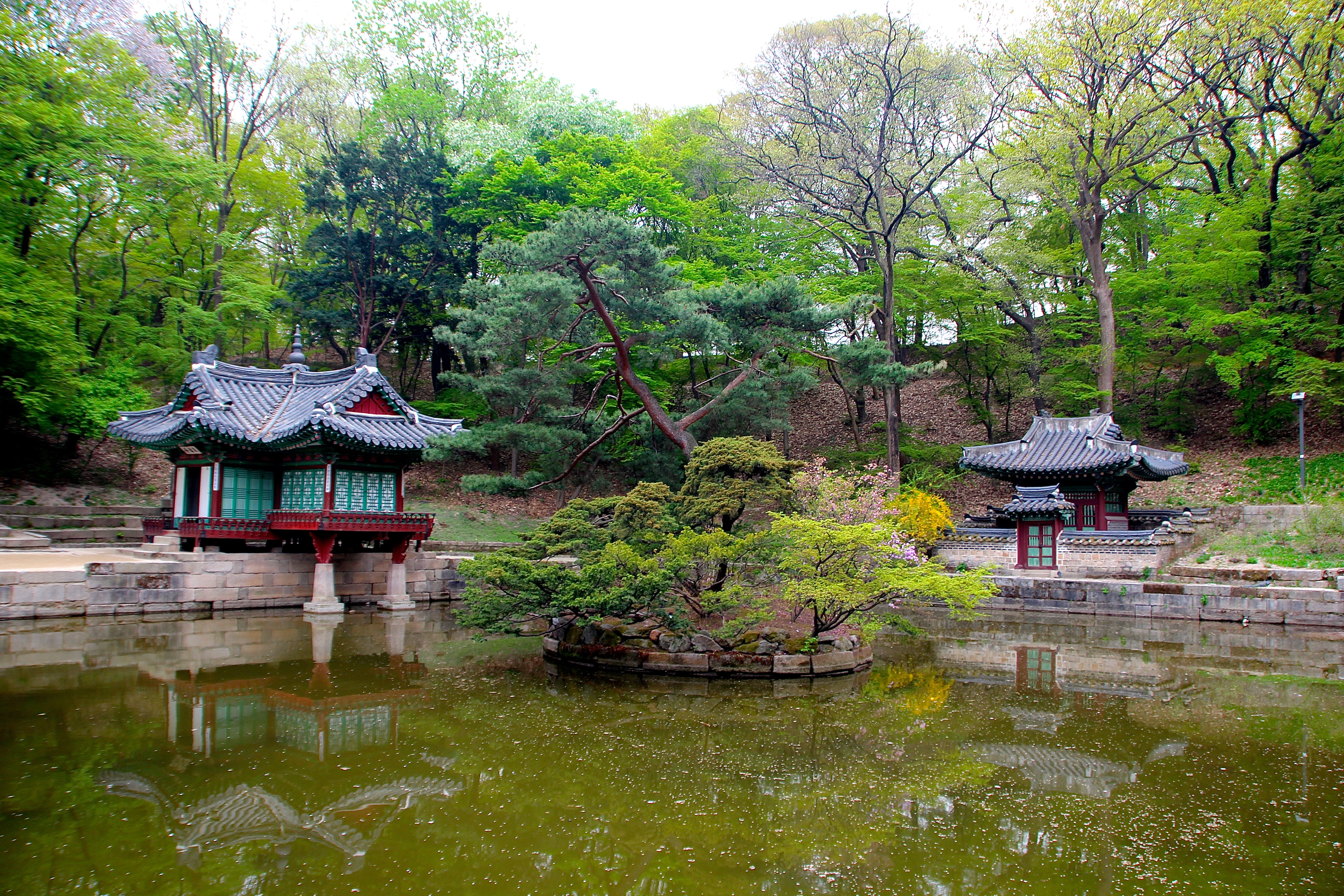 Secret Garden Of Changdeokgung Palace Five Grand Palaces Of
